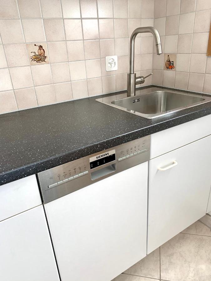 Zentral Bei Kongresshaus, Langlaufloipe, Hallenbad, Garage, Wifi, Voll Ausgestattet - Gian Apartment