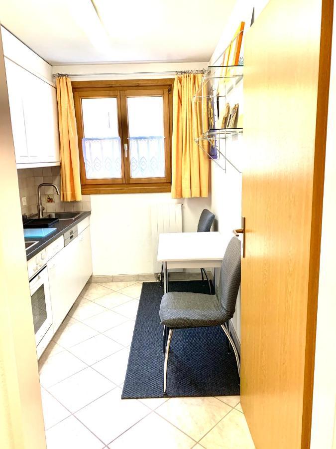 Zentral Bei Kongresshaus, Langlaufloipe, Hallenbad, Garage, Wifi, Voll Ausgestattet - Gian Apartment