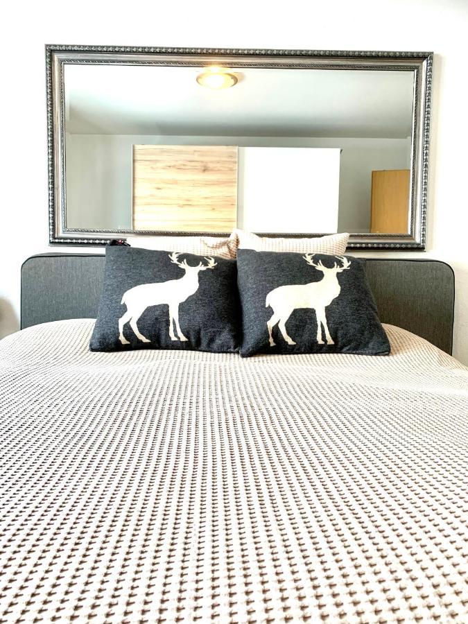 Apartment Zentral Bei Kongresshaus, Langlaufloipe, Hallenbad, Garage, Wifi, Voll Ausgestattet - Gian